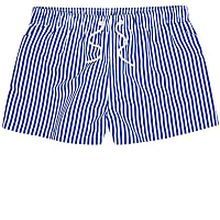 Navy stripe swim shorts