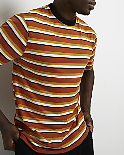 Orange Regular fit Stripe T-shirt