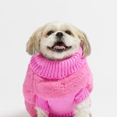 Dog clothes outlet river island