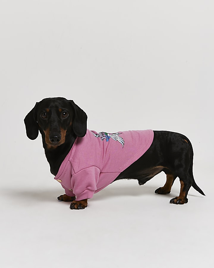 Pink RI Dog graphic jumper