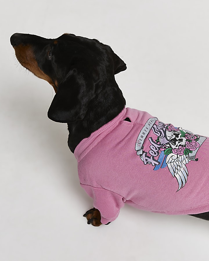 Pink RI Dog graphic jumper