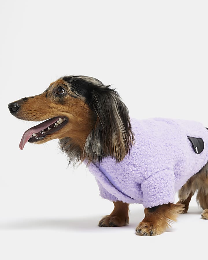 Purple RI dog borg jumper