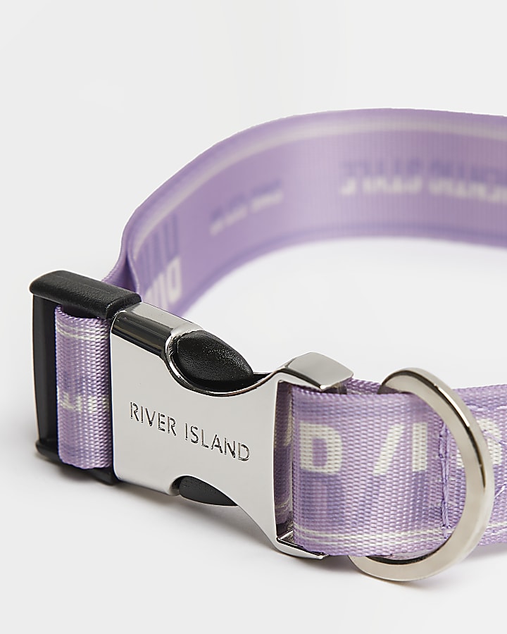 Purple RI dog webbing collar