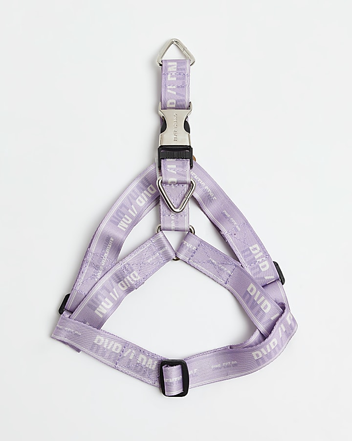 Purple RI dog webbing harness