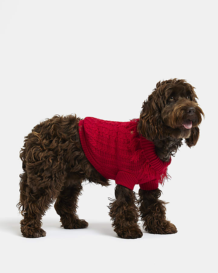 Red RI dog cable knit tassel jumper