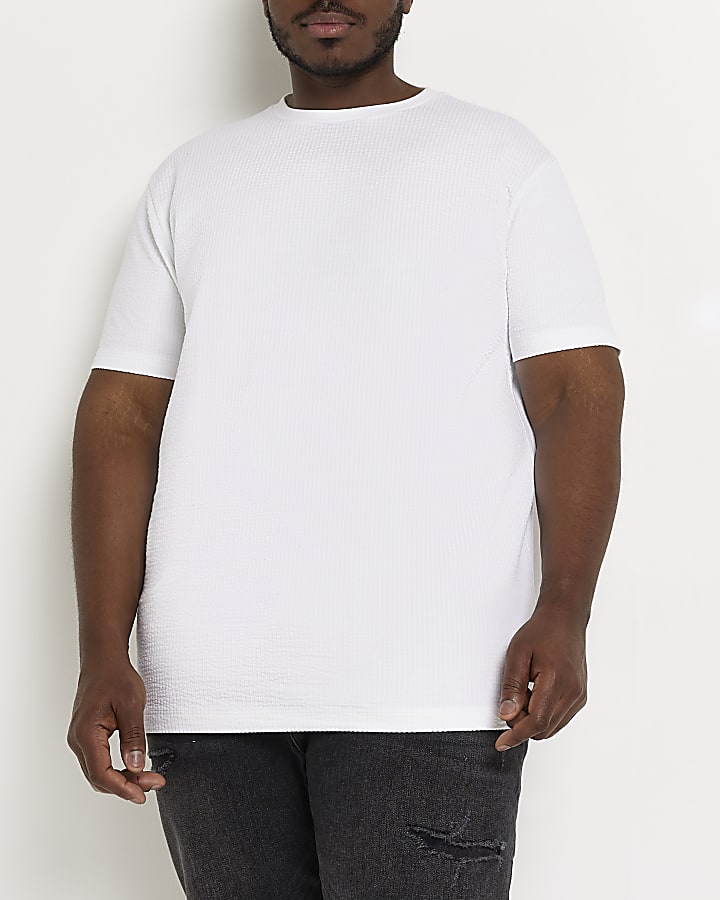 White Big & Tall Regular fit t-shirt