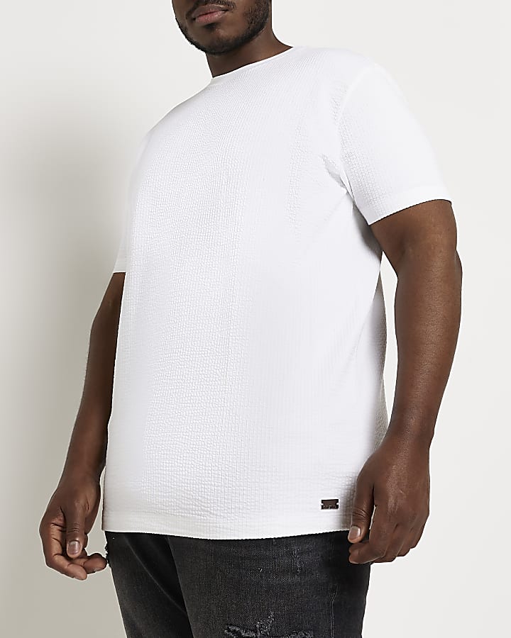 White Big & Tall Regular fit t-shirt